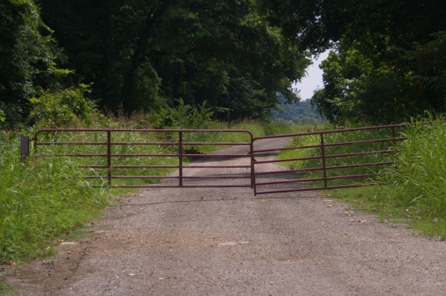 The red gate